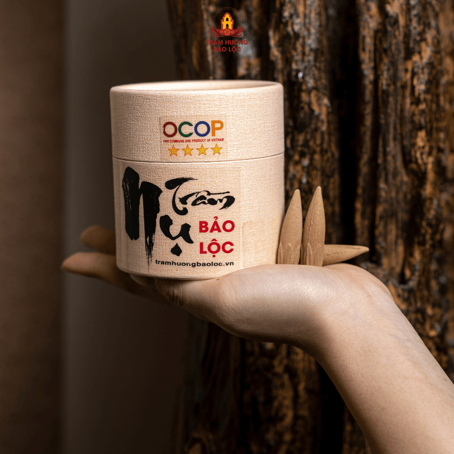 V105 (4) Nụ Trầm Hương OCOOP